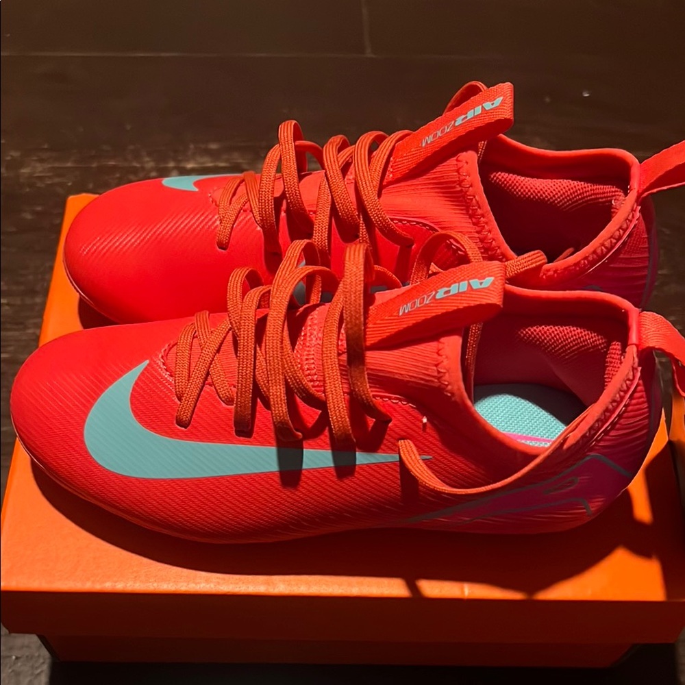 Nike Red and Blue Sneakers Sleek Athletic Design